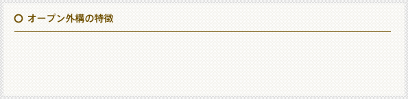 �I�[�v���O�\�̓���